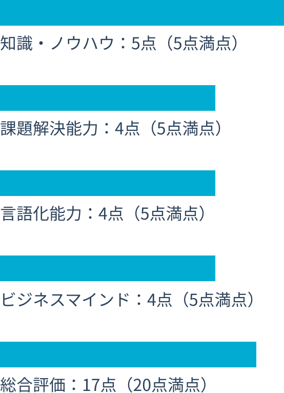 知識・ノウハウ：5点（5点満点） 課題解決能力：4点（5点満点） 言語化能力：4点（5点満点） ビジネスマインド：4点（5点満点） 総合評価：17点（20点満点）